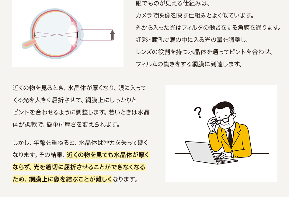 眼でものが見える仕組みは、カメラで映像を映す仕組みとよく似ています。外から入った光はフィルタの働きをする角膜を通ります。虹彩・瞳孔で眼の中に入る光の量を調整し、レンズの役割を持つ水晶体を通ってピントを合わせ、フィルムの働きをする網膜に到達します。近くの物を見るとき、水晶体が厚くなり、眼に入ってくる光を大きく屈折させて、網膜上にしっかりとピントを合わせるように調整します。若いときは水晶体が柔軟で、簡単に厚さを変えられます。しかし、年齢を重ねると、水晶体は弾力を失って硬くなります。その結果、近くの物を見ても水晶体が厚くならず、光を適切に屈折させることができなくなるため、網膜上に像を結ぶことが難しくなります。